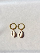 Load image into Gallery viewer, Seashell Earrings
